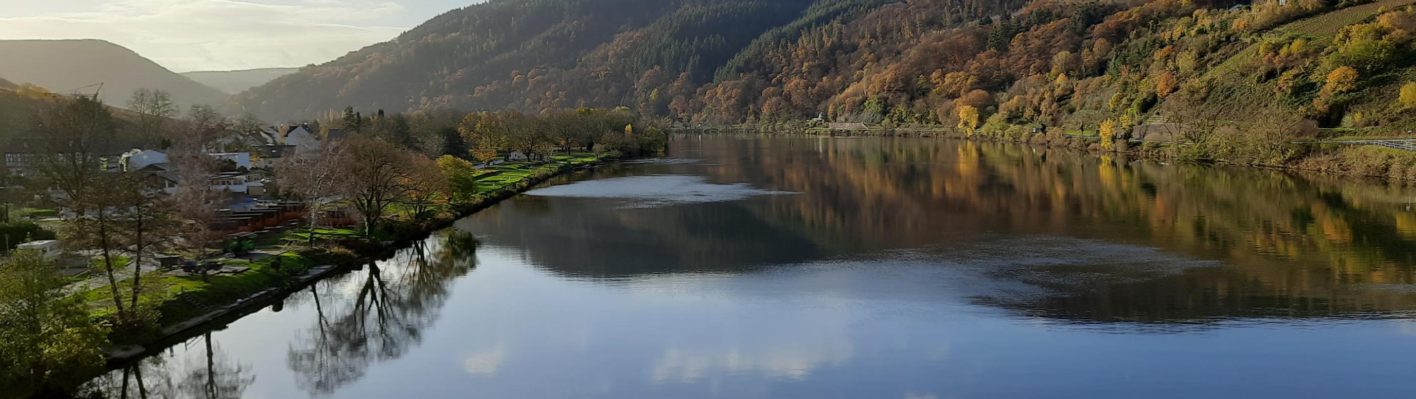 Blick auf die Mosel. Rechts und links sieht man Landschaft. Der Himmel ist blau mit ein paar Wölkchen, die sich im Wasser spiegeln