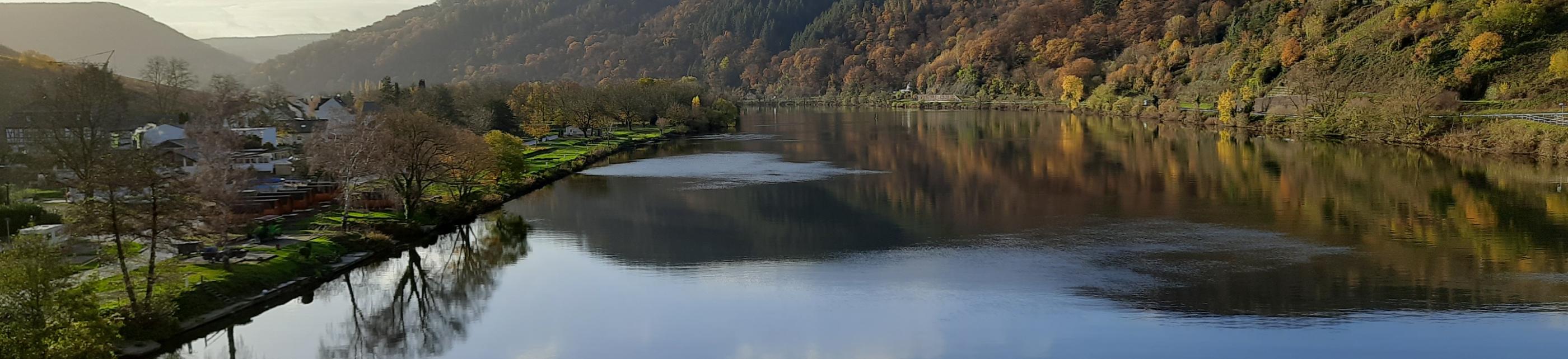 Blick auf die Mosel. Rechts und links sieht man Landschaft. Der Himmel ist blau mit ein paar Wölkchen, die sich im Wasser spiegeln