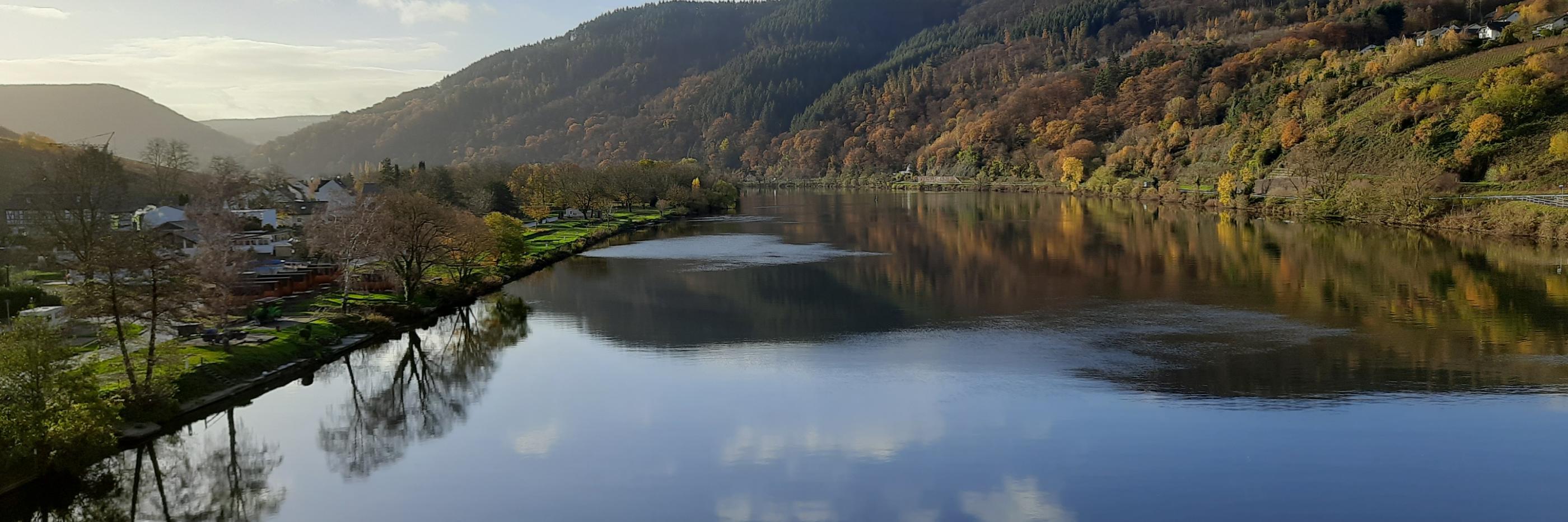 Blick auf die Mosel. Rechts und links sieht man Landschaft. Der Himmel ist blau mit ein paar Wölkchen, die sich im Wasser spiegeln